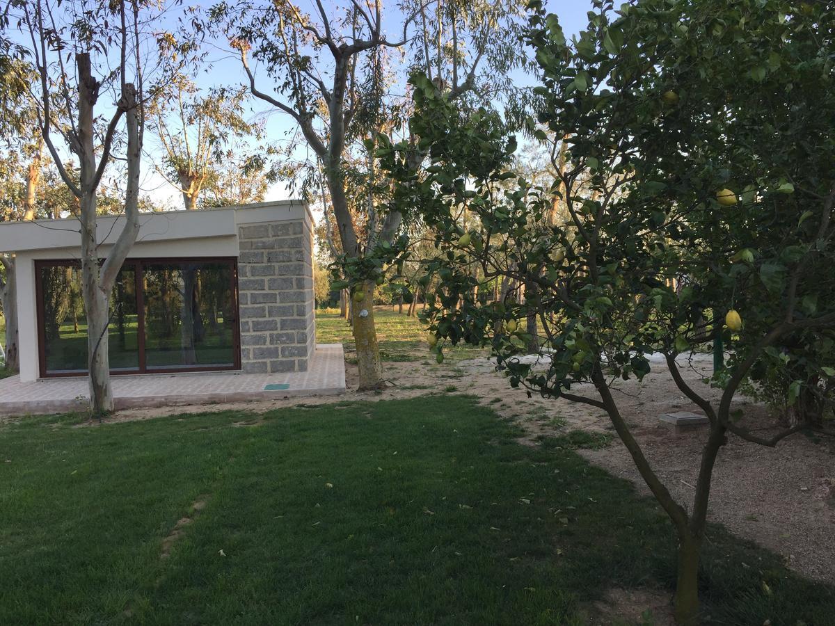 Tenuta Monaci La Murra Carmiano  Buitenkant foto